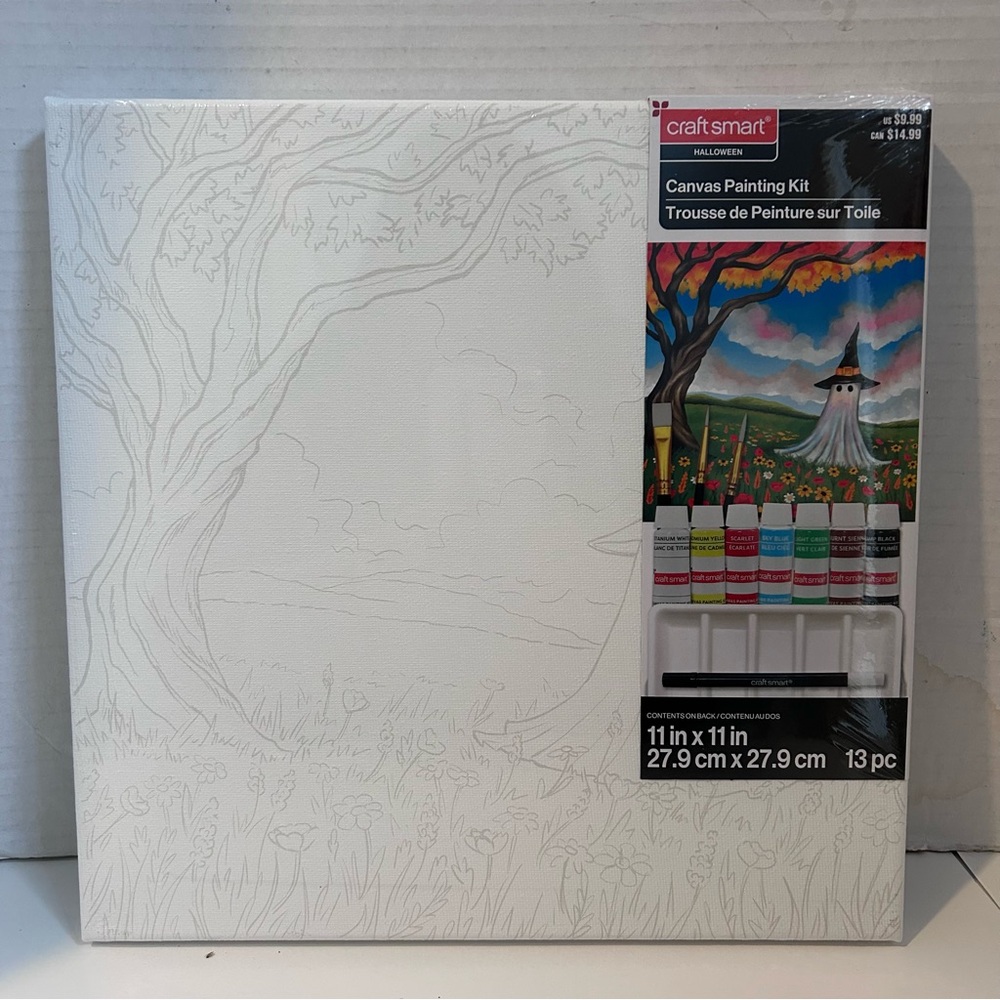 11” x 11” Craft Smart Canvas Painting Kit - Ghost